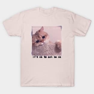 Sad Cat T-Shirt